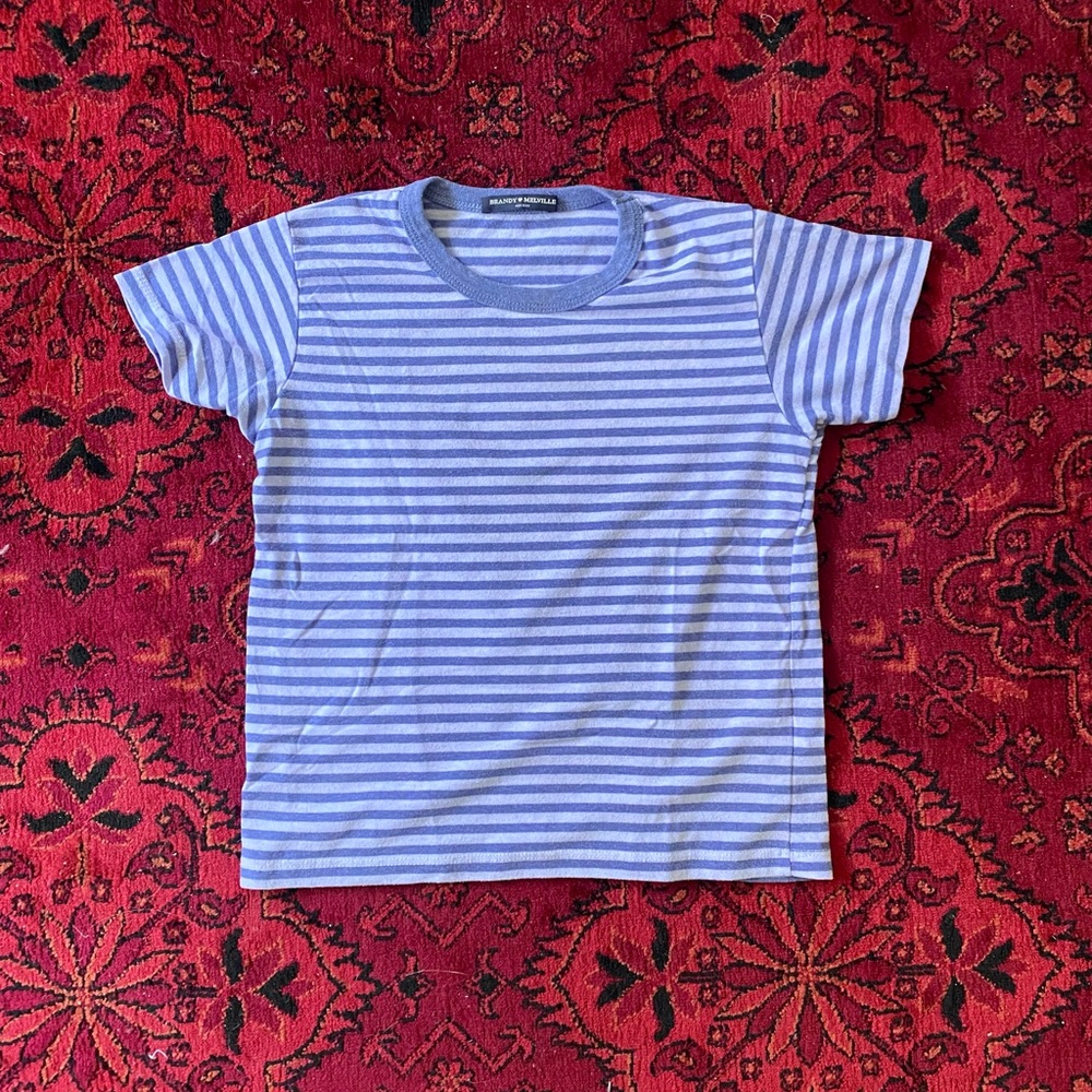 Brandy Melville periwinkle stripe tee